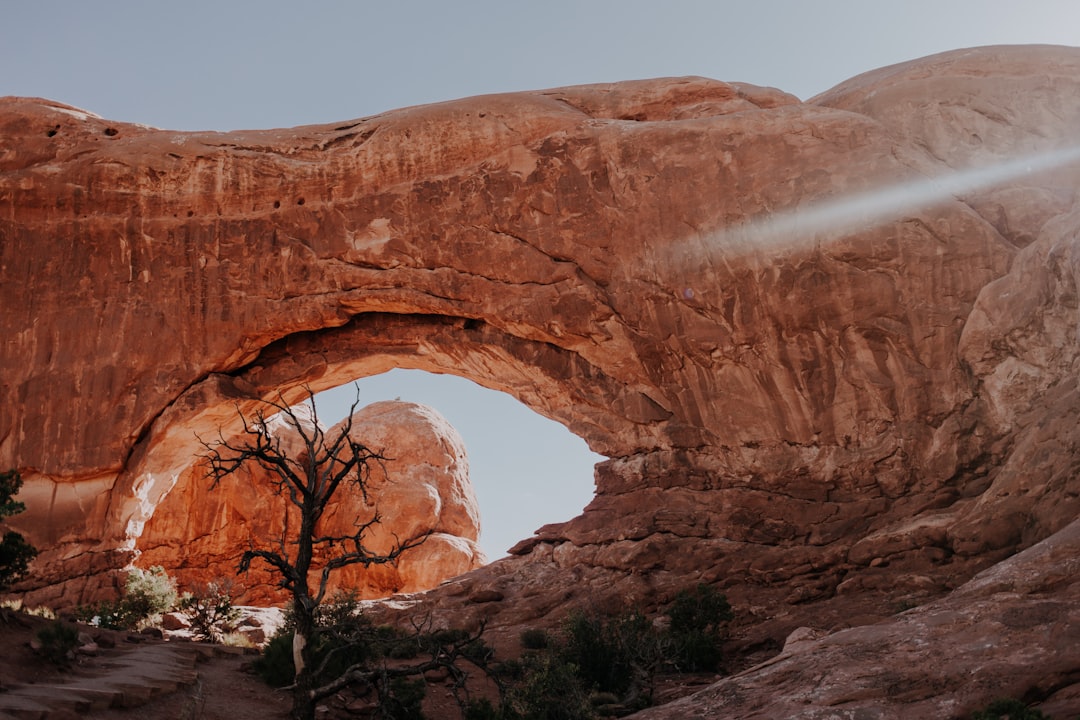 Eco-Friendly Travel: How to Leave Only Footprints and Take Only Memories